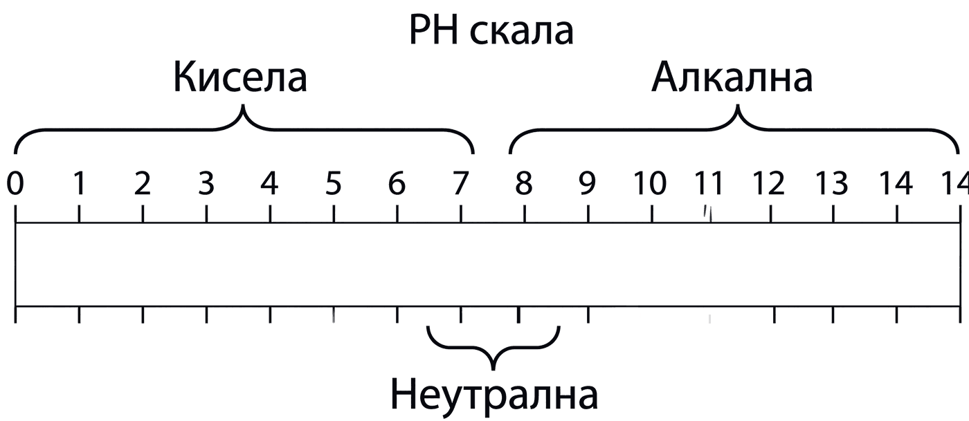 pH скалата за почистващи препарати — от 0 (кисела) през 7 (неутрална) до 14 (алкална)